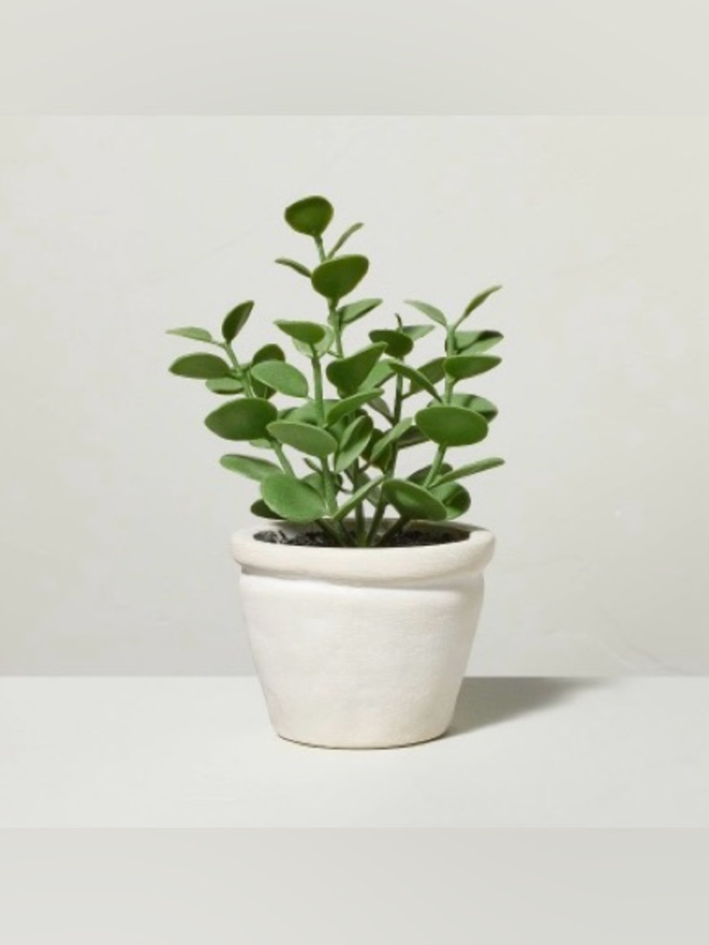 Hearth & Hand with Magnolia 7.5 inch Mini Faux Potted Plant in paper mache Pot
